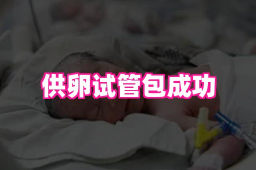 gfg孕网 1