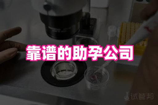 gfg孕网 4